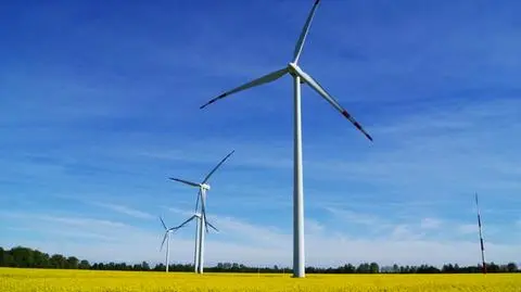 Organizacje z branży OZE apelują do prezydenta o weto noweli o OZE