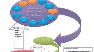 Schemat przepływów finansowych w sektorze SKOK