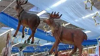 W czasie świątecznych zakupów, na które zabierają dziś Państwa nasi reporterzy, nie można dać się zwieść nie tylko promotorom, ale także promocjom i setkom sztuczek, dzięki którym oprócz - masła, chleba i skarpetek dla dziadka kupimy kawę, czekoladki i setki innych rzeczy, których nie potrzebowaliśmy. Jak nie dać się zwieść i nie zawieść - zostawiając w sklepie całej pensji sprawdzała Karolina Hytrek-Prosiecka.