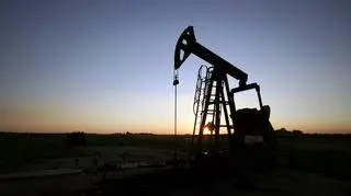 Ceny ropy spadły w tym roku o niemal 45 proc. w reakcji na brak działań ze strony OPEC