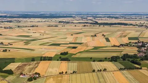 Raport: ziemia rolna w Polsce dalej drożeje