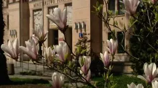 Tylko 10 dni pozostało na złożenia PIT-u za 2008 rok. Polacy znani są z tego, że takie sprawy zostawiamy zawsze na ostatnią chwilę. A gdy siadamy nad formularzem - rodzą się pytania. My na te pytania odpowiadamy. Twój Brat PIT dziś o tym, co może dla nas oznaczać wypełnienie rubryk, których wypełniać nie powinniśmy - a także o tym, czym jest czynny żal.  