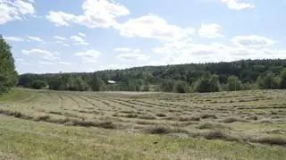 Plebiscyt został zorganizowany, ponieważ 1 maja br. skończył się dziesięcioletni okres przejściowy w sprawie nabywania ziemi przez obcokrajowców