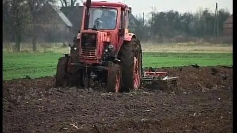 Droga żywność