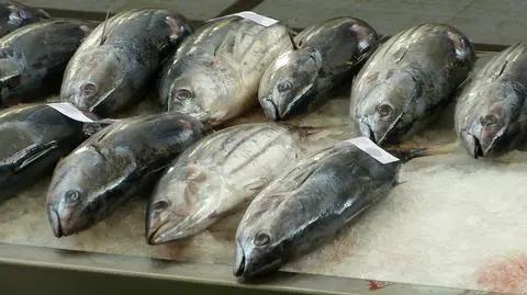 Rosja zwiększy kontrolę produktów rybnych z Polski i Litwy