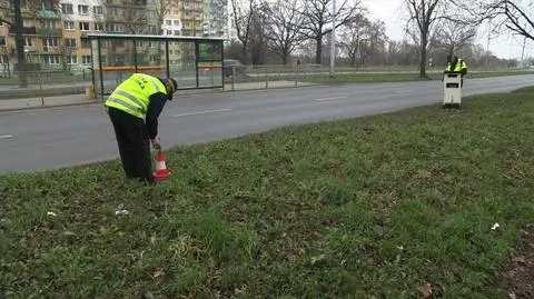 Straż miejska bez fotoradarów? Zdania są podzielone, Sejm zagłosuje