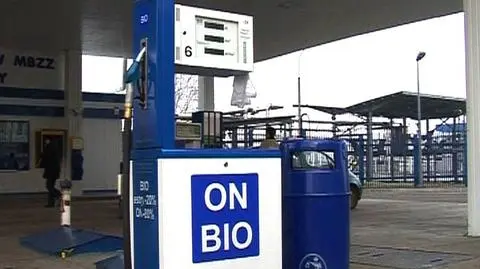 Biopaliwa staną się opłacalne?
