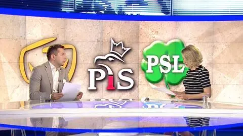 Politycy deklarują, Blajer tłumaczy. Co obiecały Kopacz i Szydło?