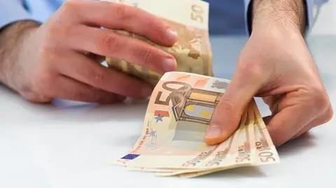 MF: członkostwo w strefie euro mogłoby być źródłem zagrożeń