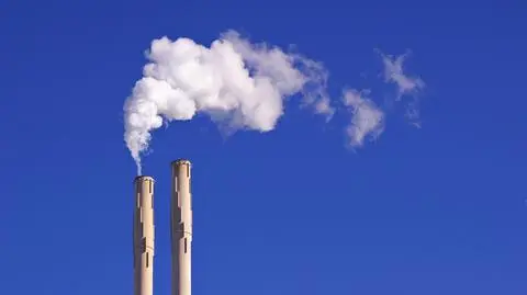 Polscy europosłowie "wyhamowali radykałów"