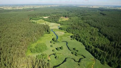 Litwa popiera Polskę w sprawie Rospudy
