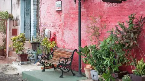 Podróż do Paragwaju w cyklu "Pokaż nam świat"