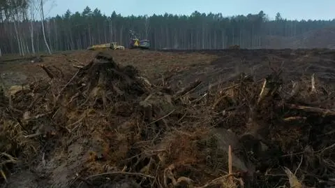 Przekop Mierzei Wiślanej. GDOŚ: rozstrzygnięcie ws. decyzji środowiskowej 29 maja