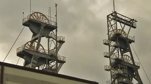 Nie dla unii energetycznej