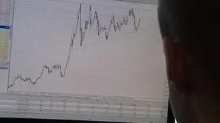 Zaczynamy od stanu polskiej gospodarki, która w pierwszym kwartale tego roku urosła o 3 procent. To wynik dobry i zgodny z oczekiwaniami resortu finansów - podkreślał dziś na naszej antenie minister Jacek Rostowski. Taki poziom PKB zapisano też w przekazanym do Brukseli planie konwergencji finansów publicznych. Ekonomistów niepokoją jednak mniejsze inwestycje firm, a także spadki w budownictwie. Materiał Cezarego Królaka.