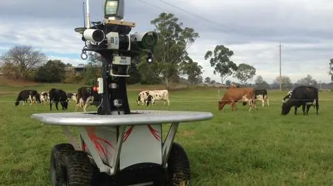 Roboty zastąpią kowbojów