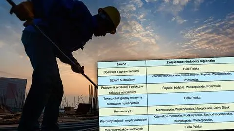 Polacy mogą wrócić do kraju po Brexicie