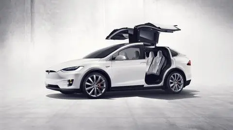 Nowa Tesla doda koncernowi skrzydeł? Futurystyczne drzwi robią furorę