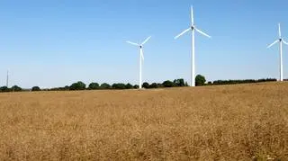 Zdaniem autorów raportu, o ile nie rozwiąże się problemu tych wirtualnych przyłączeń, będzie problem z realizacją ustawy o odnawialnych źródłach energii (OZE)