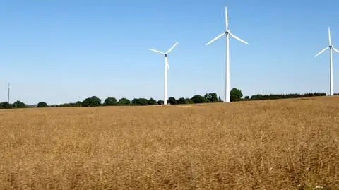 Eksperci apelują ws. OZE. "Do 2020 r. podwoić ilość energii z wiatru"