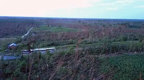 Nawałnice spusztoszyły lasy