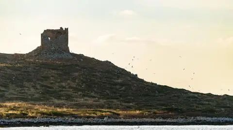 Włoską wyspę Isola delle Femmine można kupić za milion euro