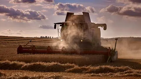 Susza w Polsce. Ministerstwo rolnictwa szacuje straty