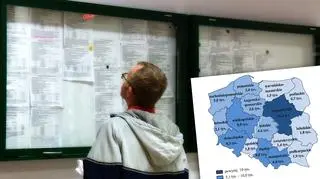 Największa liczba ofert pracy dotyczyła województwa mazowieckiego
