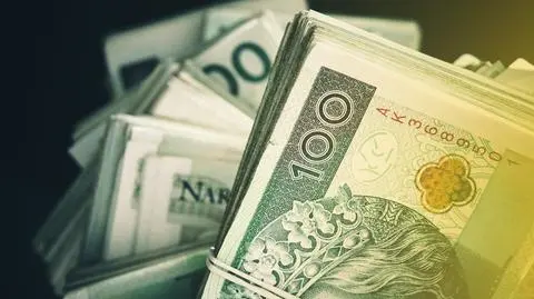 Złoty lekko się osłabia 