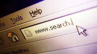 Rosja, gdzie z sieci korzysta ok. 61 mln użytkowników, jest najszybciej rozwijającym się rynkiem internetowym w Europie
