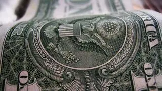 Dane z rynku pracy USA wzmocniły dolaraf