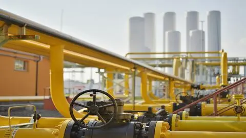 PGNiG chce obniżenia cen gazu. Jest wniosek do rosyjskiego giganta