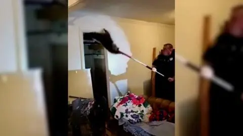 Pięć szopów wpadło do domu przez dach domu w Sheridan w USA