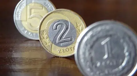 Złoty spokojnie kończy tydzień. Grecja mu niestraszna