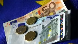 Nieprędko można spodziewać się wprowadzenia euro w Polsce