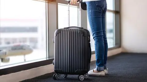 Zieloni w Niemczech: do 2035 roku loty krajowe mają stać się zbędne