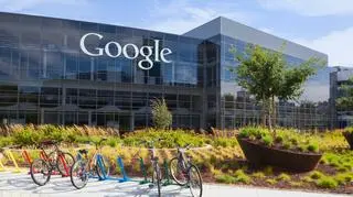 Fuchsia jest jeszcze we wczesnym stadium rozwoju