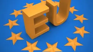 Eksperci przygotują strategię dla  Unii Europejskiej