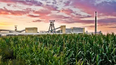 Tobiszowski: Bogdanka pozostanie samodzielnym podmiotem