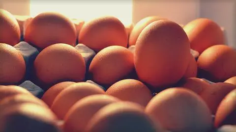 Skażone jajka z Belgii nie były wysyłane do Polski - MRiRW