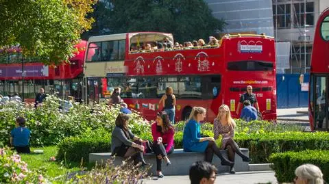 Emilewicz namawia polskich imigrantów do powrotu do kraju