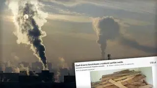 Polski Alarm Smogowy zażądał od serwisu ogłoszeniowego OLX.pl natychmiastowego usunięcia ogłoszeń o sprzedaży mebli do spalenia