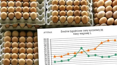 Jaja na unijnym rynku droższe od kurczaków