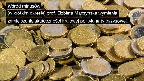 Ekonomiści zwracają uwagę na plusy i minusy przyjęcia euro