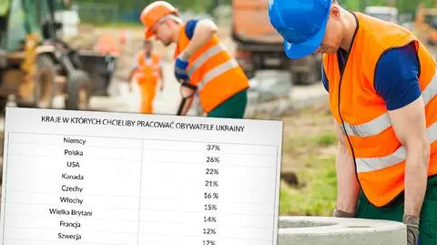 Ukraińcy chcą pracować w Niemczech i Polsce - badanie grupy Rating