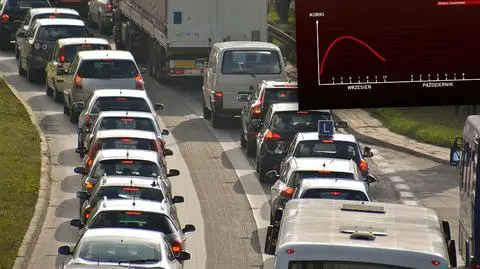 Korki na ulicach dużych miast