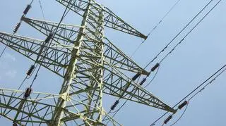 Ważny punkt wizyty to uroczystość otwarcia polsko-litewskiego połączenia energetycznego, tzw. LitPol Link