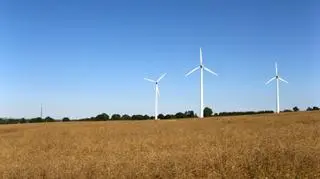 Niemcy coraz bardziej stawiają na OZE