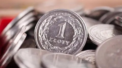 W czwartek złoty wyraźnie tracił