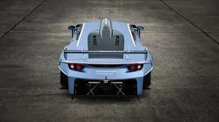 Arrinera Husarya